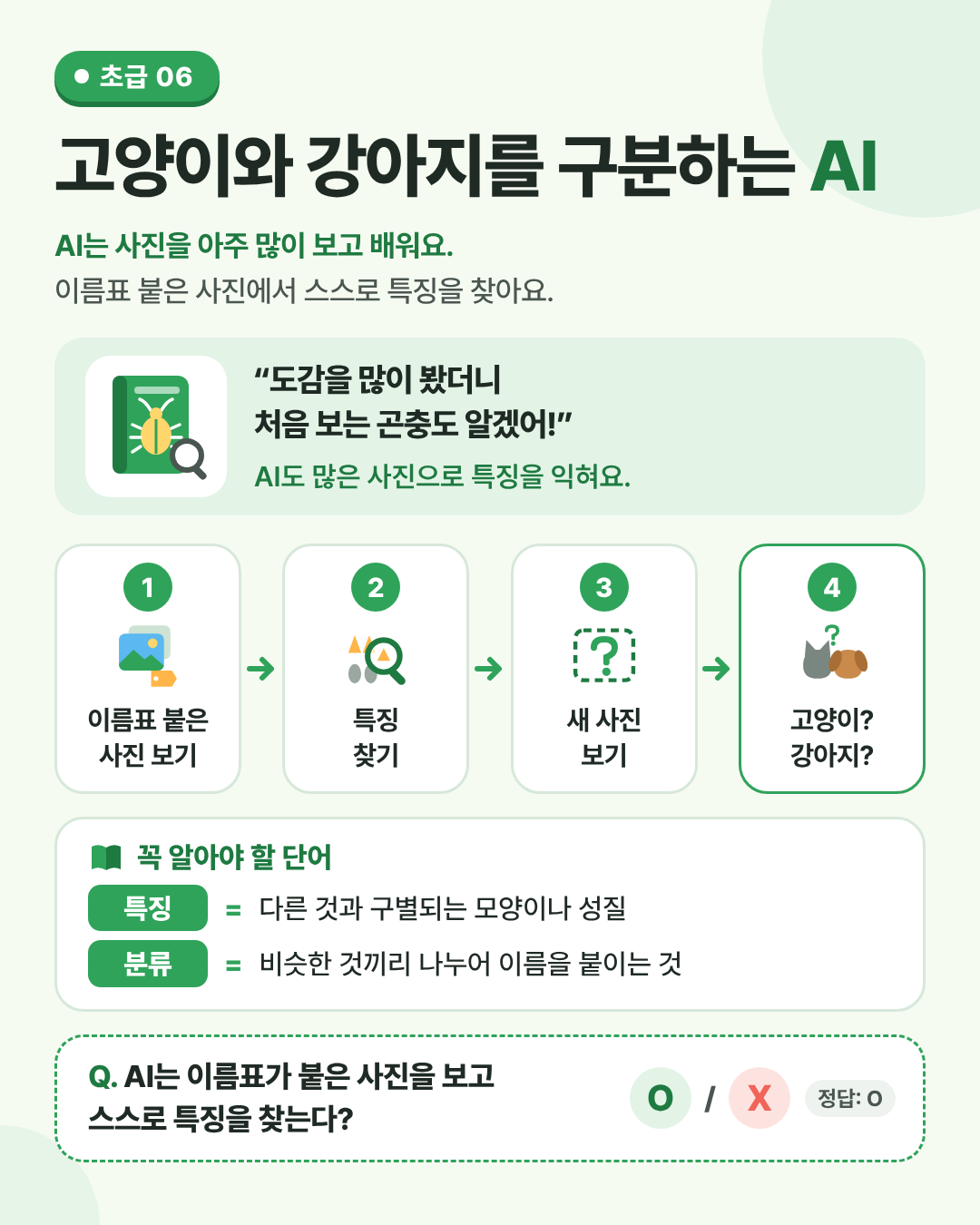고양이와 강아지를 구분하는 AI 인포그래픽. 규칙을 외우지 않아요. 이름표 붙은 사진을 많이 보고 특징을 찾아요.